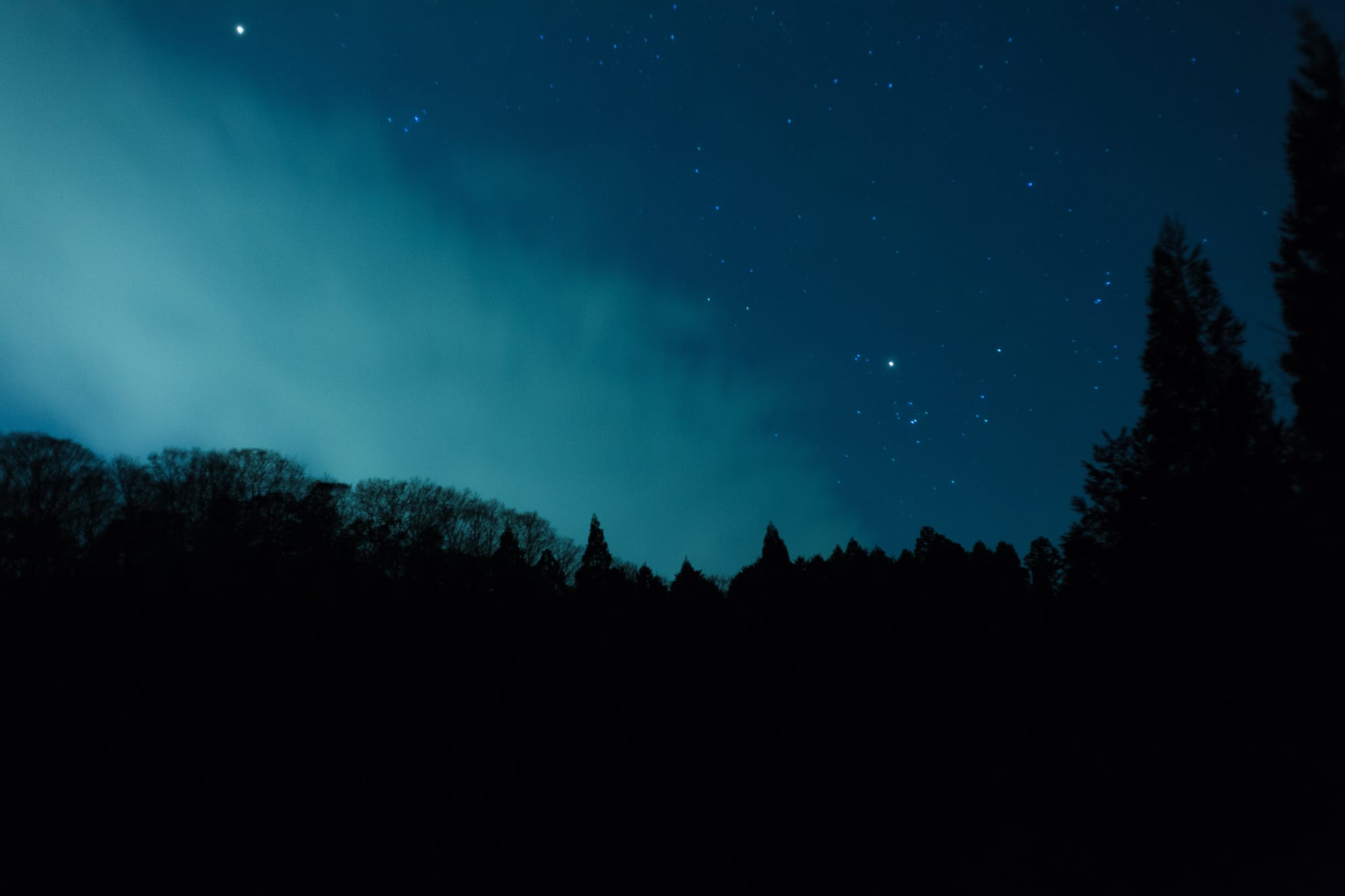 Tideline 08 — 星空の下、山と樹の稜線。境界そのものになった夜。